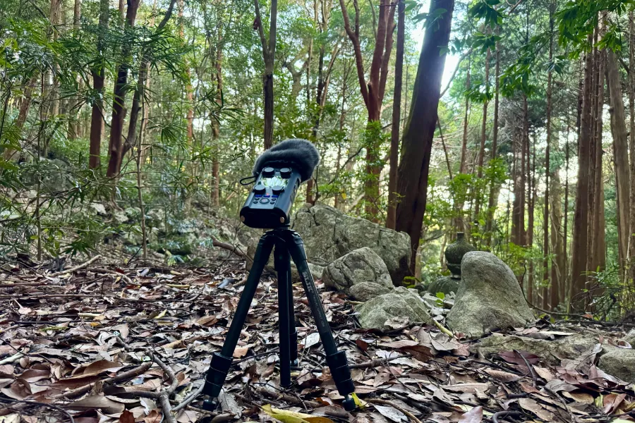 Field Sampling